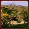 Golf in Arizona